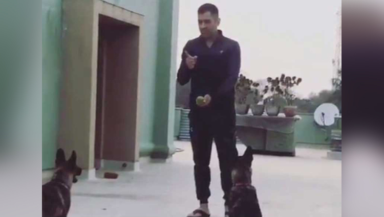 dhoni training his dogs