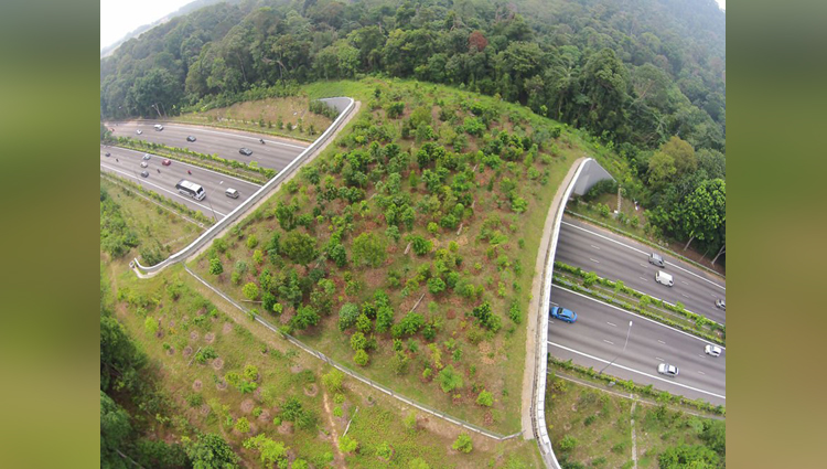  Ecoduct In Singapore