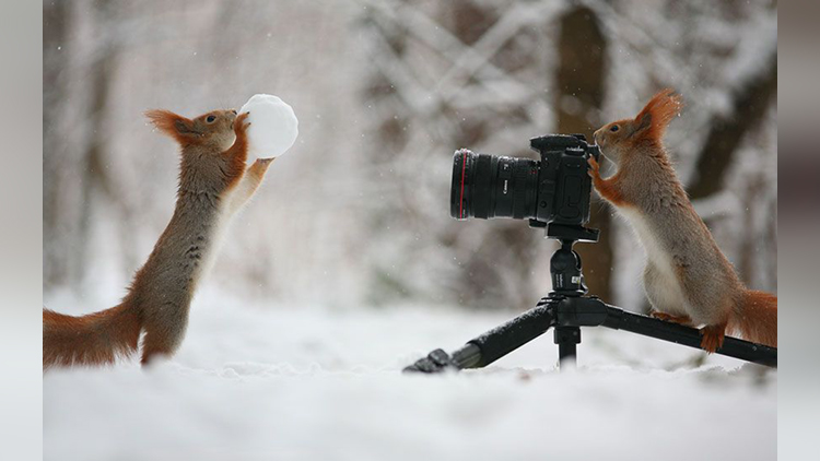 Have you Ever Seen Squirrel Being a Photographer? Here is Your Chance, Don't Miss It!