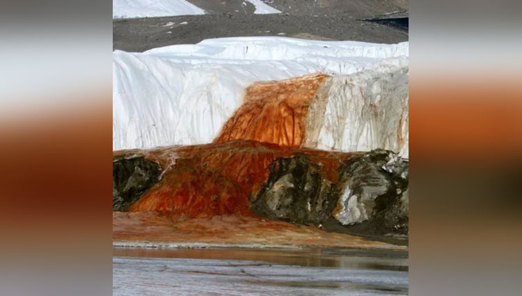 blood waterfall in antarctica
