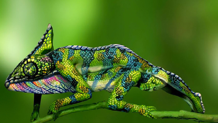 Did you See A Chameleon in the Picture? Look Closer, You Would be Fu**en Up!