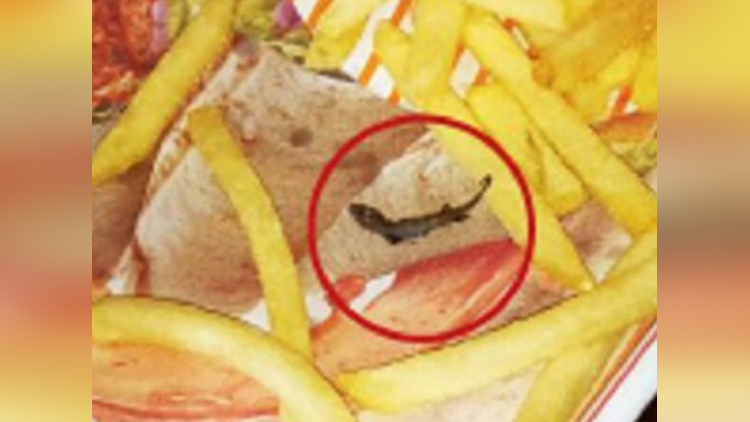 Wtf! This Pregnant Lady Saw A Lizard In French Fries Of McDonald's 