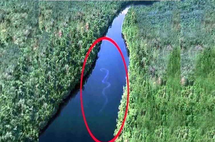 100 feet long snake found in Baleh river
