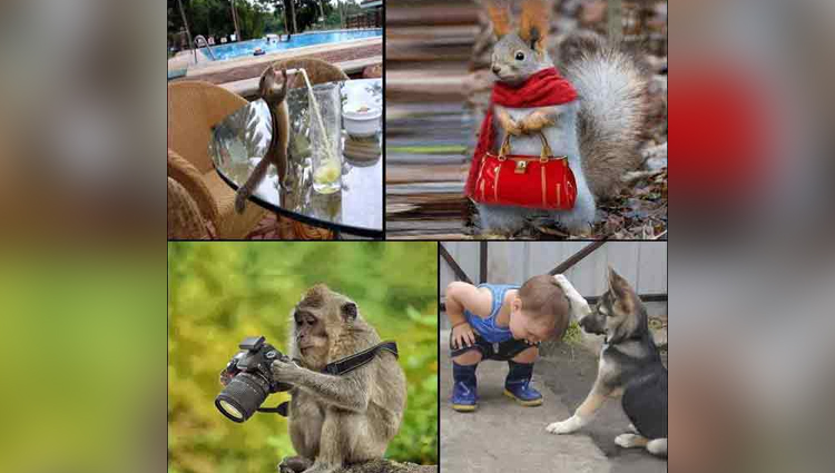 funny photos very funny photos viral funny photos weird photos viral amazing funny animals photos