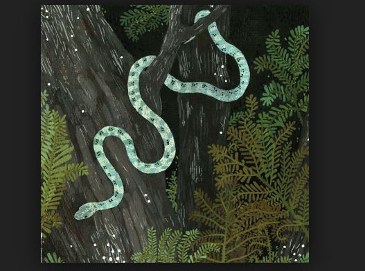 Why do snakes like sandalwood trees