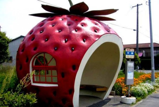 After all is this a bus stand or a cafe made of fruits