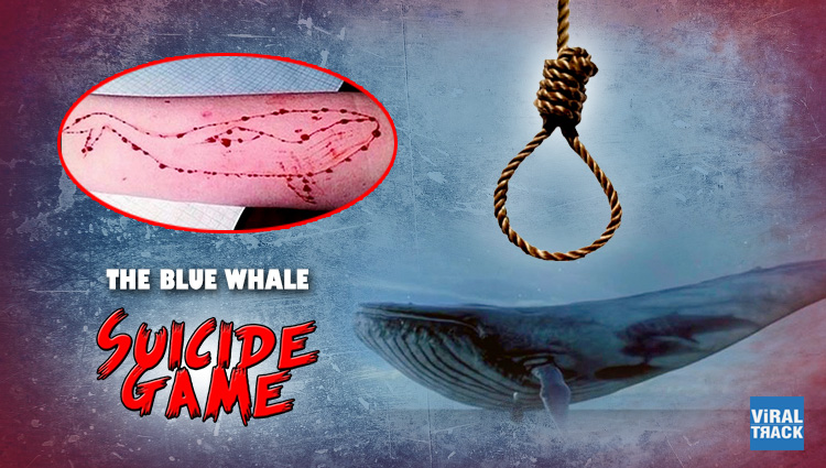 blue whale suicide game 