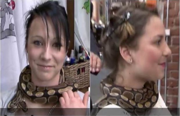 python massages german salon