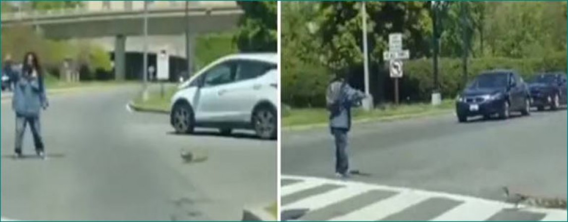 Man Helps Mother Duck And Her Ducklings To Cross Road