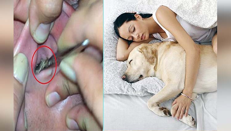 Don't Sleep With Your Pets As It Is Life Threatening