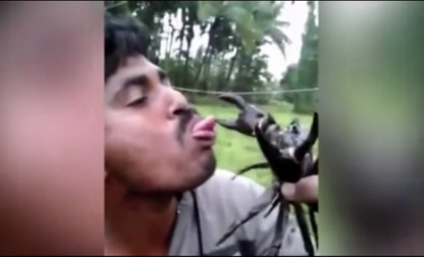 stupid man kissed crab and he bitten on his tongue