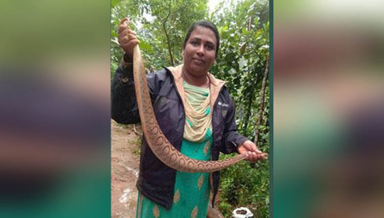 kerala woman breaks gender stereotype to become famous snake catcher