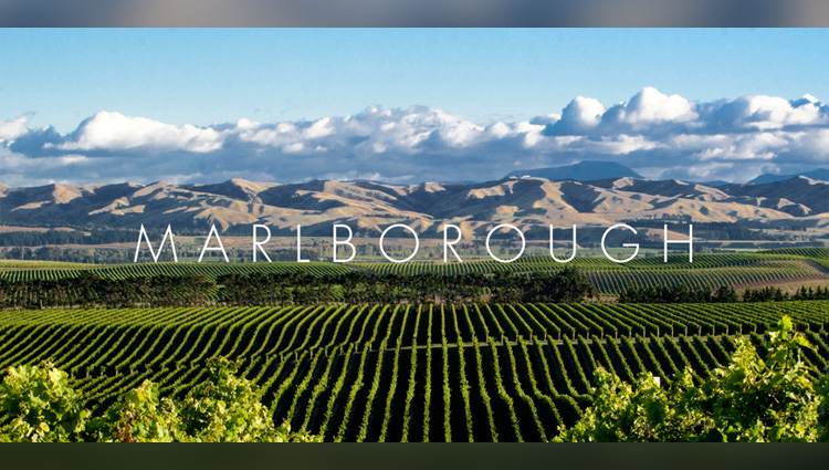 A taste of Marlborough
