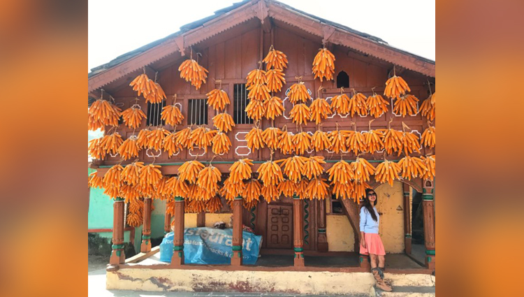 Find out Why Bhatoli, Sainji villages near Mussoorie are called corn villages?