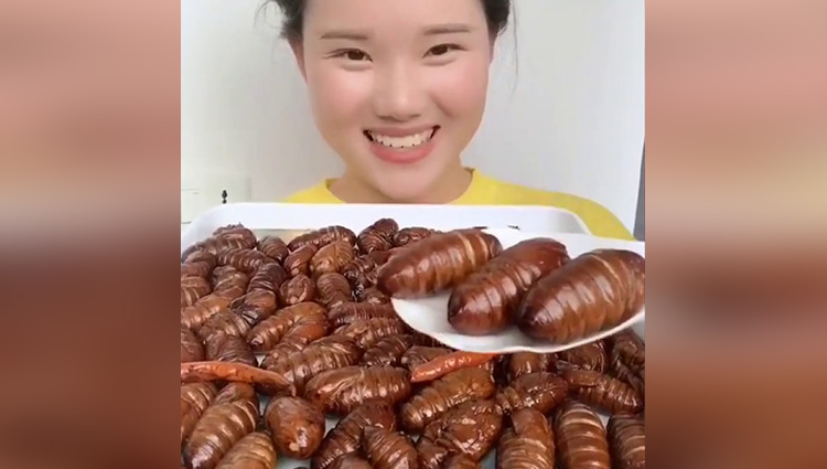 chinese girl eating scorpions centipedes insects and bugs