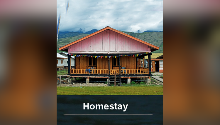 Make your stay more comfortable like home with these amazing:   Homestays 