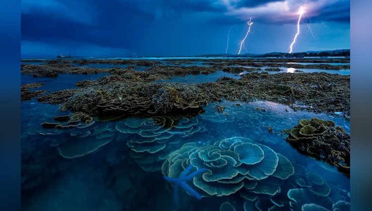 Breathtaking Photos From Our Landscape 2019 Contest