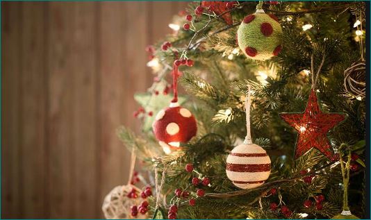 Christmas Tree Facts Christmas 2020