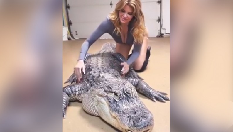 The crocodile has come out, the beautiful lady is doing massage