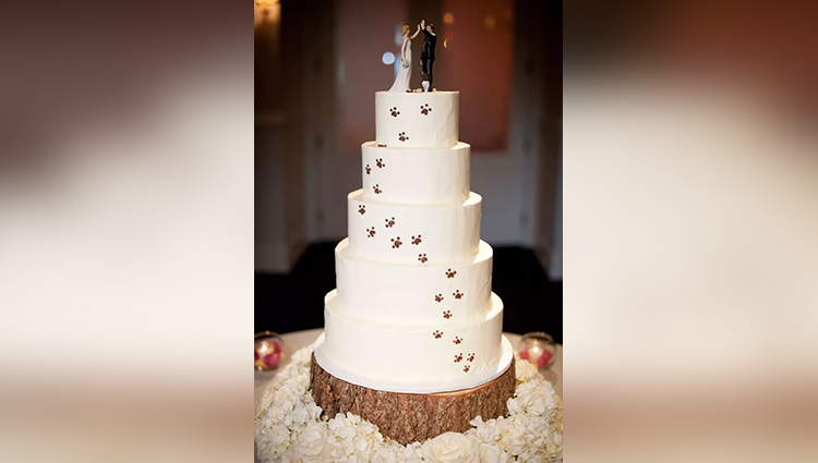 Couples Found A Way To Include Their Dogs Into Their Wedding