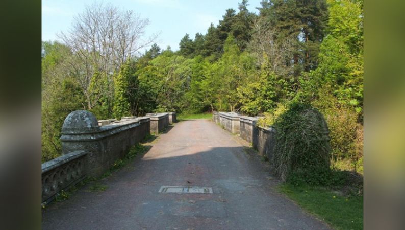 scotland dogs suicide bridge 