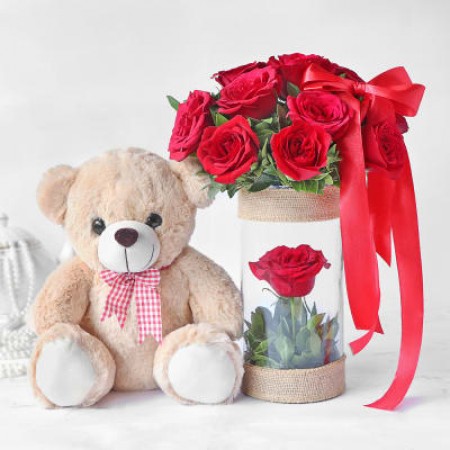 Valentine's Week: Why we celebrate teddy day