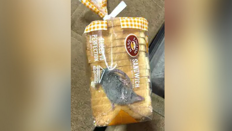 Rat found in breakfast bread, company apologizes to customer