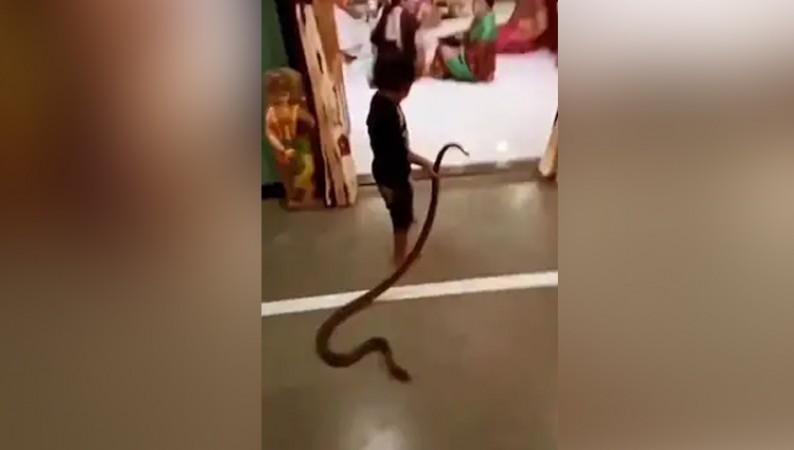 The snake kept pulling the child like a rope, seeing which people were shocked