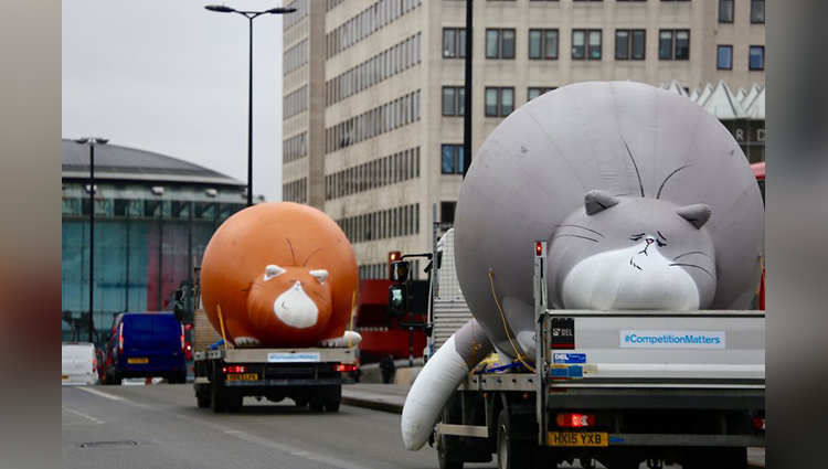 Five Huge, Inflatable Fat Cats Prowl Around London To Encourage People