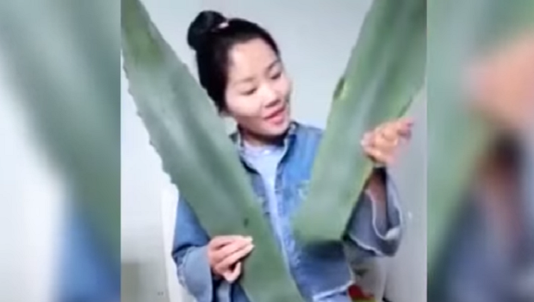 PANICKED WOMAN ABANDONS LIVE STREAM AFTER REALISING PLANT IS POISONOUS