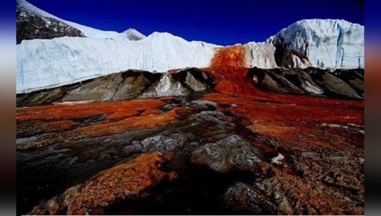 A Mystery Behind Blood Red Waterfall Of Antarctica Is Solved