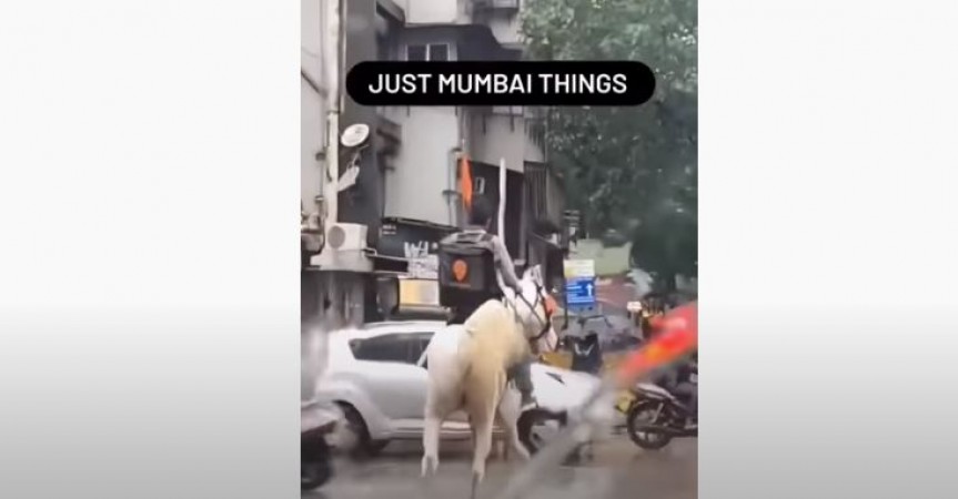 Swiggy Delivery Boy Rides Horse To Drop Off Order in Mumbai video went viral online
