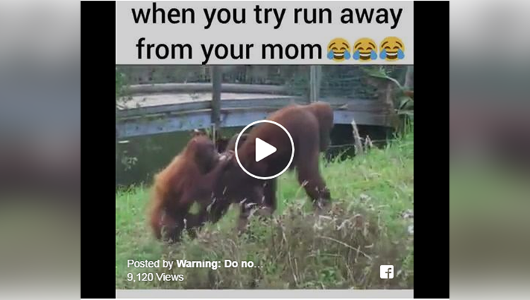 when you try run away from your mom
