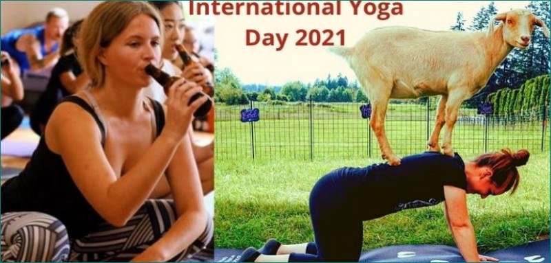 International Yoga Day 2021 BEER YOGA GOAT YOGA