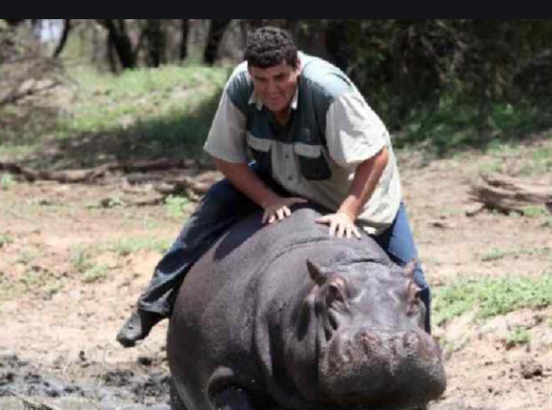 Man mauled to death by pet hippo