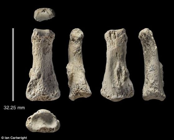 Archaeologists discovered about 85 thousand years old human bone