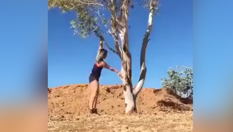 The woman had to perform a heavy stunt, when the branch of the tree broke, she became insulted