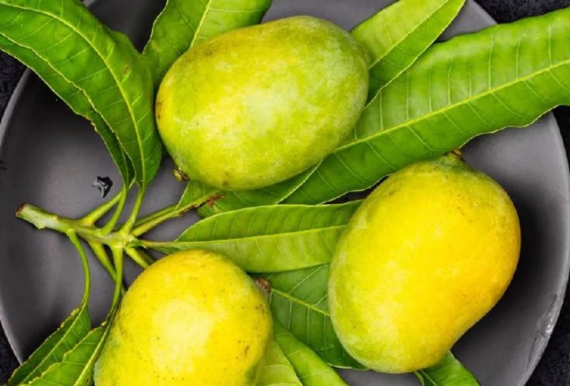 soak mangoes before Eating Scientific Reasons behind Soaking mango before eat
