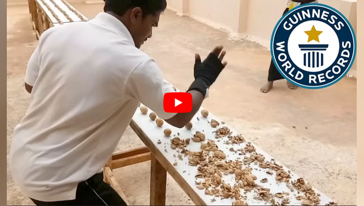most walnuts crushed by hand in one minute - Guinness World Records