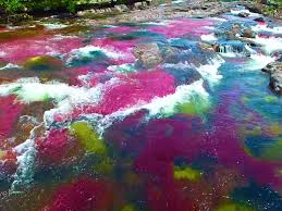 The River of Five Colors Cano Cristales Colombia 