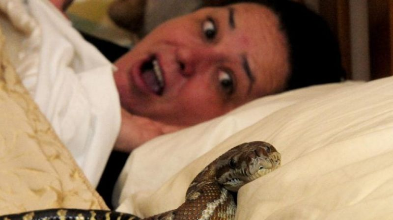 delhi girl sleep with snake devendra kaur