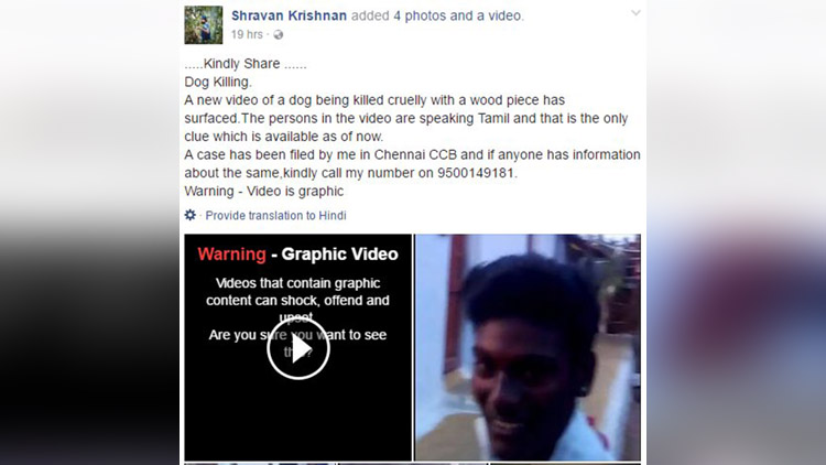 Chennai dog killed in Tamilnadu