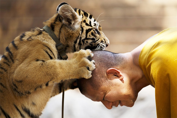 human being and animal friendship photos