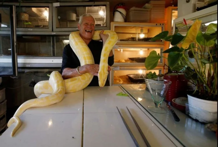 man have 400 reptiles in their home 