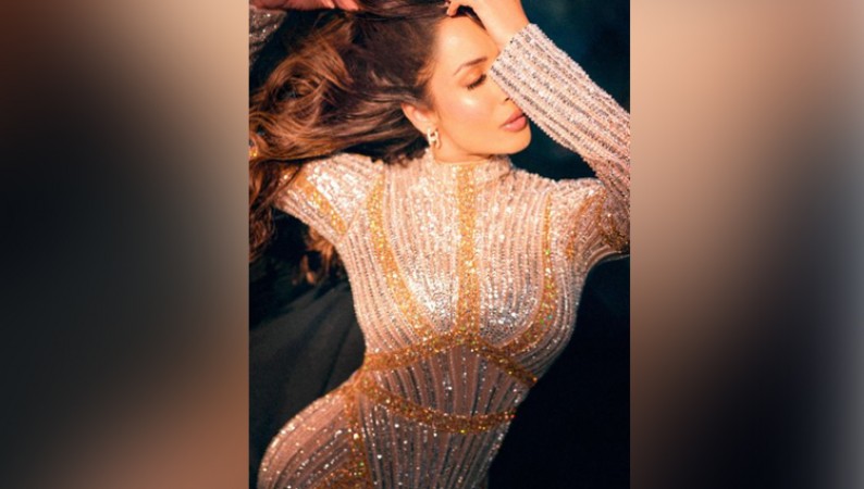 Malaika Arora Flaunts Enviable Curves in Body-Hugging Shimmery Gown