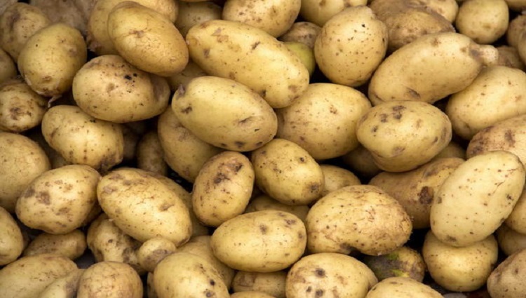 Would You Believe Us if We Say Potatoes Killed a whole family?